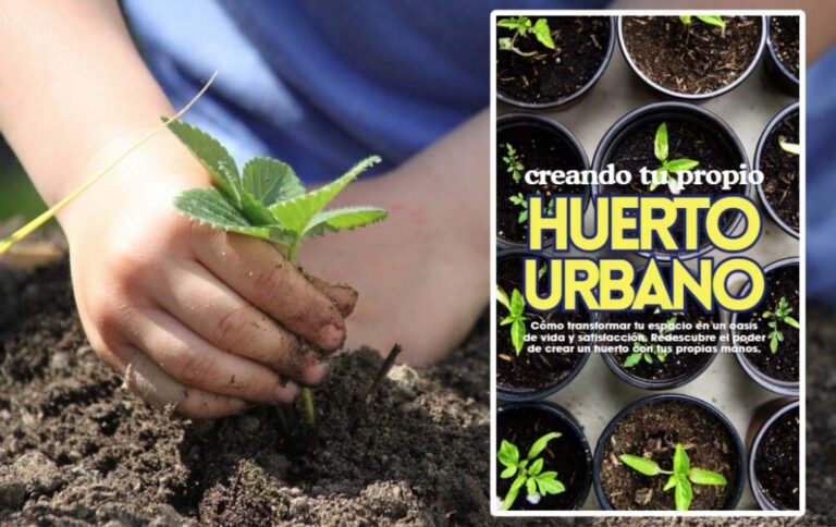 tu propio huerto urbano